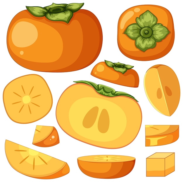 Free Vector set of persimmon fruit isolated