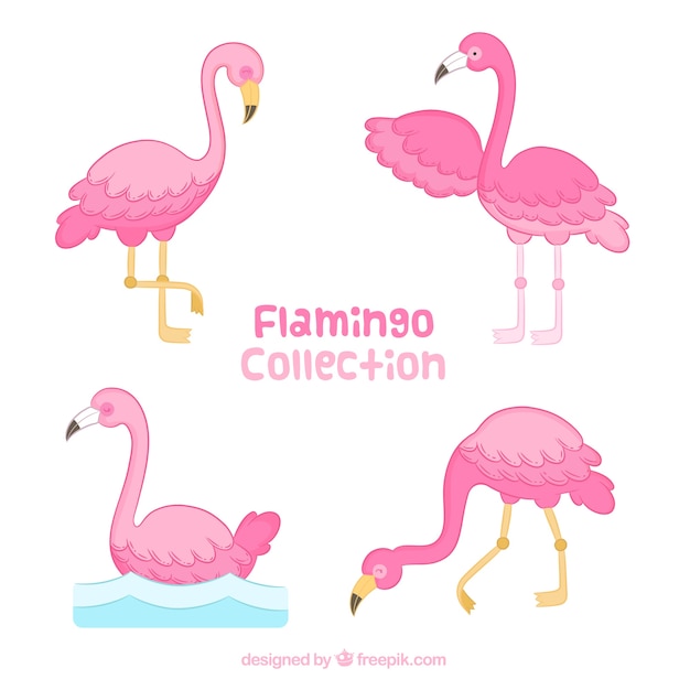 Free Vector set of pink flamingos in hand drawn style