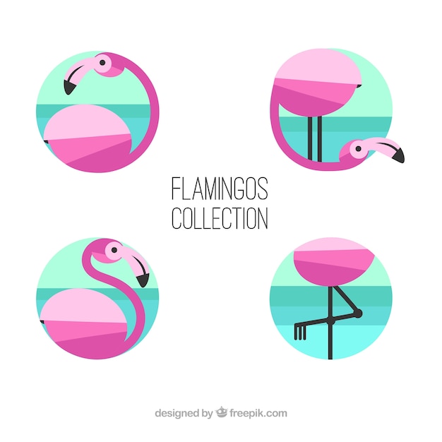 Free Vector set of pink flamingos with different poses