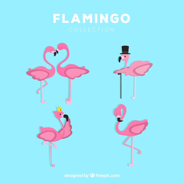 Free Vector set of pink flamingos with different poses