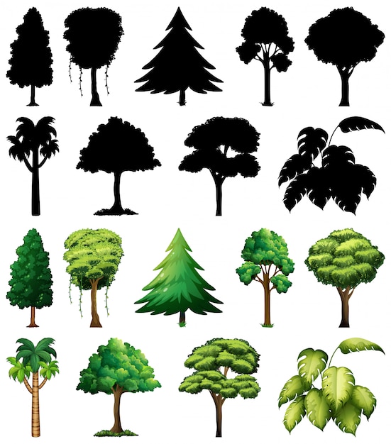 Free Vector set of plant and tree with its silhouette