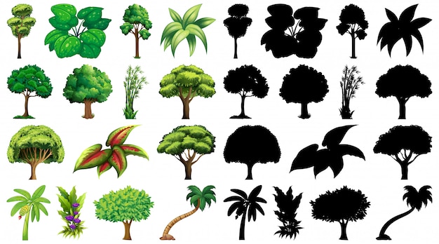 Set of plant and tree with its silhouette