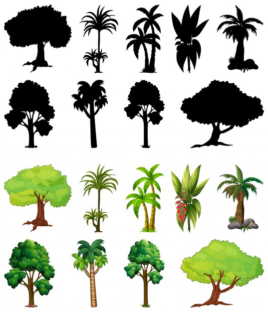 Set of plant and tree with its silhouette