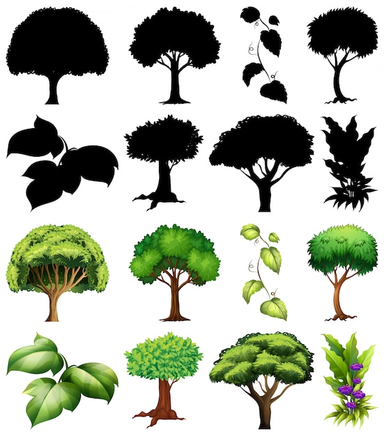 Free Vector set of plant and tree with its silhouette