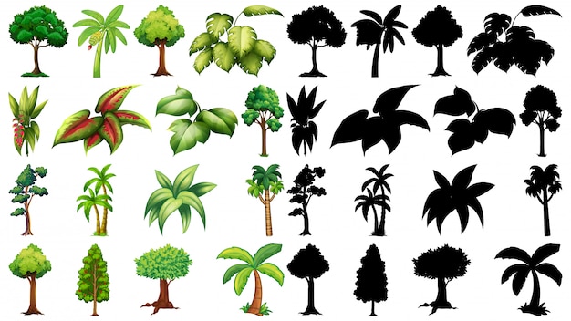 Free vector set of plant and tree with its silhouette