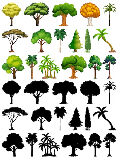 Free vector set of plant and tree with its silhouette