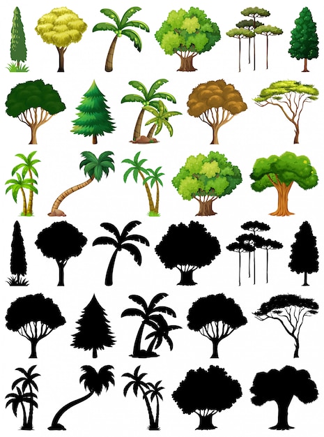 Free Vector set of plant and tree with its silhouette