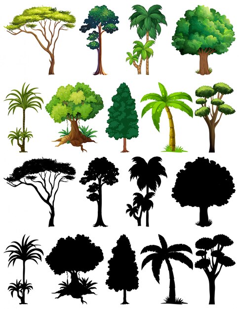 Set of plant and tree with its silhouette