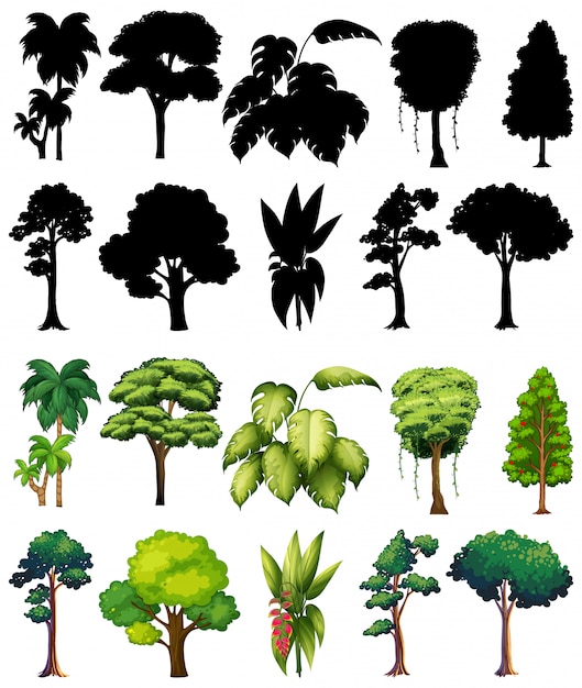 Free Vector set of plant and tree with its silhouette