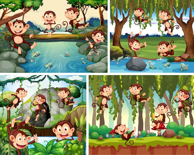 Set of playful monkey in nature background