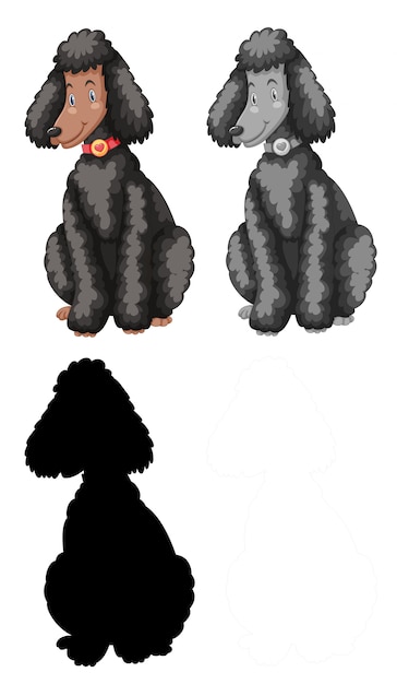 Set of poodle character