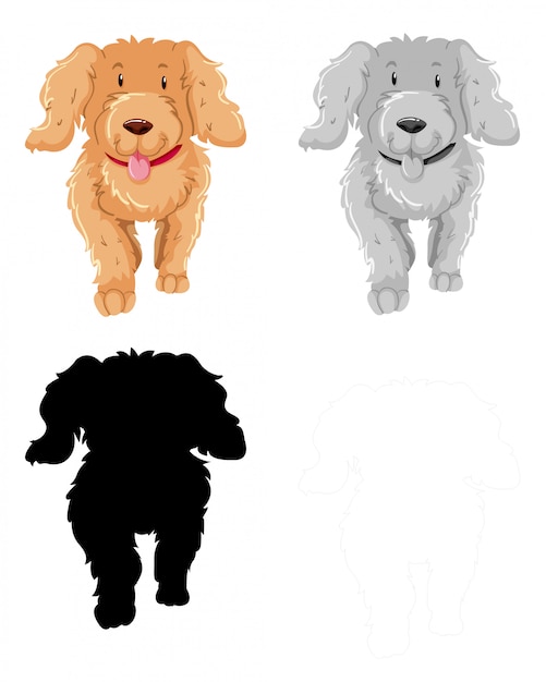 Free vector set of poodle character