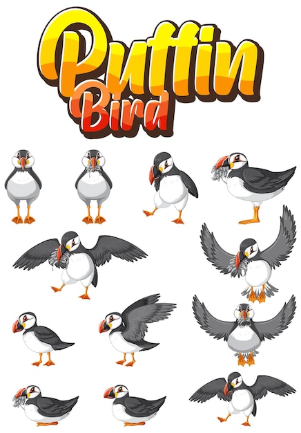 Free Vector set of puffin bird cartoon character in different poses