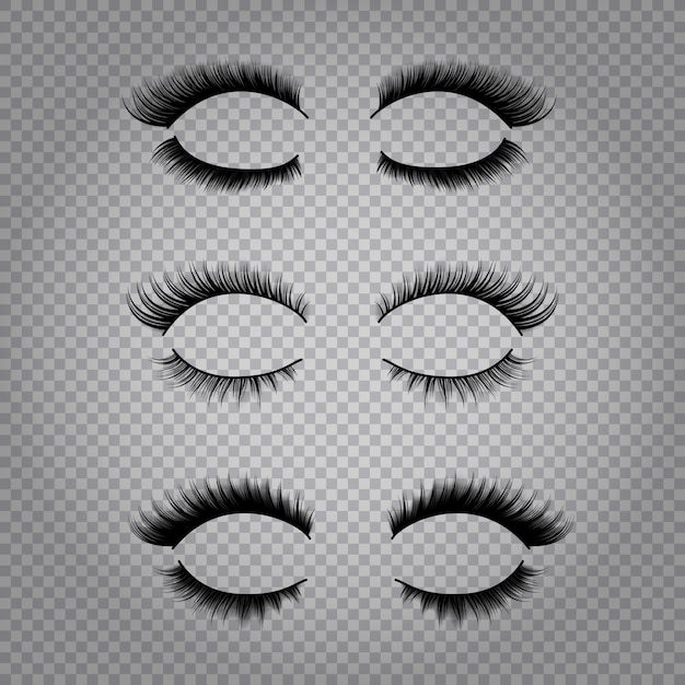 Set of realistic false lashes for upper and lower eye lids isolated on transparent background