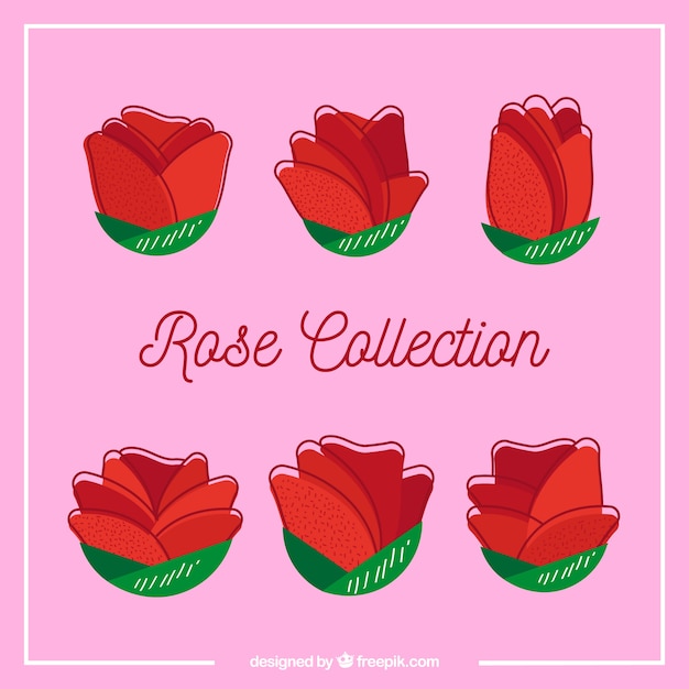 Free Vector set of red roses with variety of designs