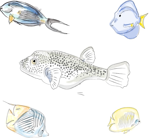 Free Vector set of red sea of egypt fishes