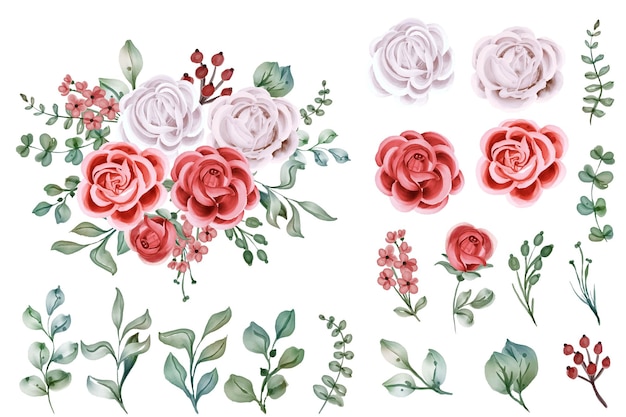 Set Of Rose Watercolor Isolated Flower Object