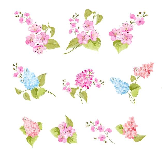 Set of sakura and lilac flowers elements