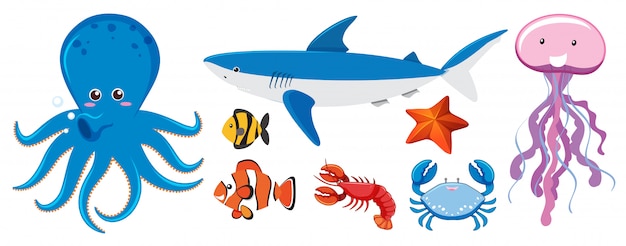 Free Vector a set of sea creatures