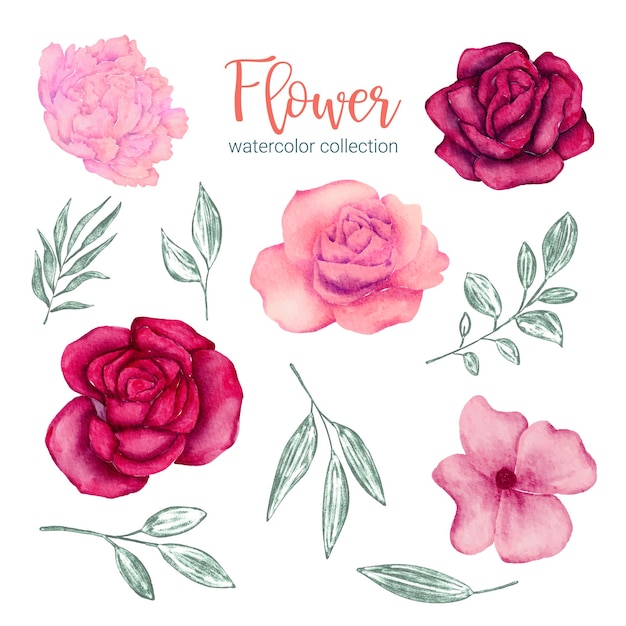 Free Vector set of separate parts and bring together to beautiful bouquet of flowers in water colors style on white background flat vector illustration