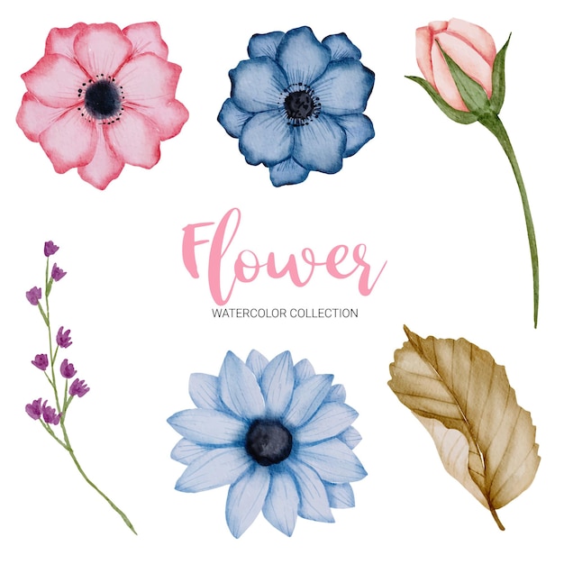 Set of Separate parts and bring together to beautiful bouquet of flowers in watercolor style