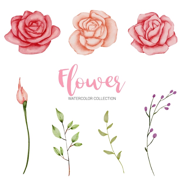 Free Vector set of separate parts and bring together to beautiful bouquet of flowers in watercolor style