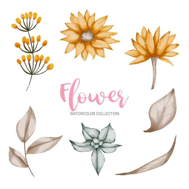 Free Vector set of separate parts in watercolor style on white