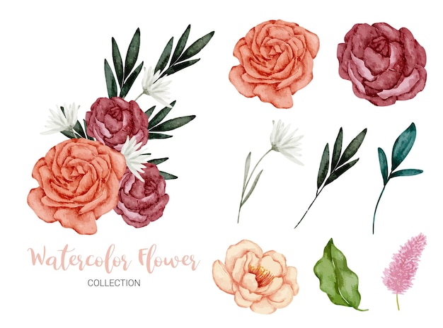 Free Vector set of separate parts in watercolor style on white