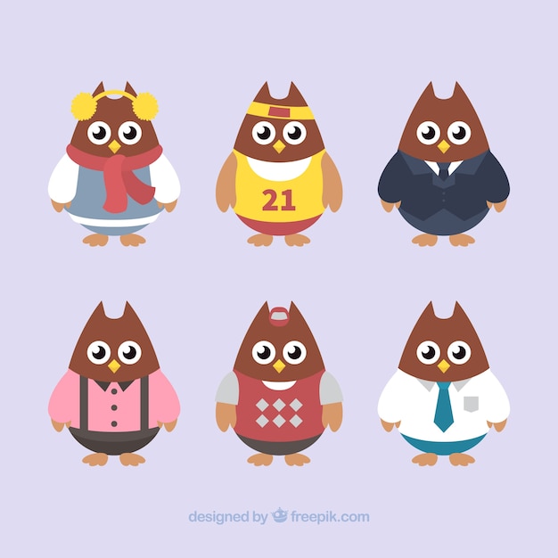 Free Vector set of six owls with clothes