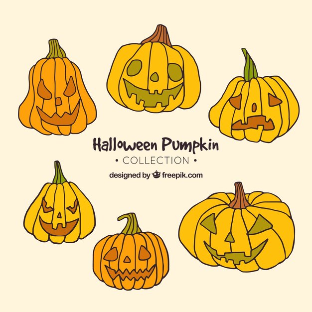 Set of six pumpkins in different colors and shapes