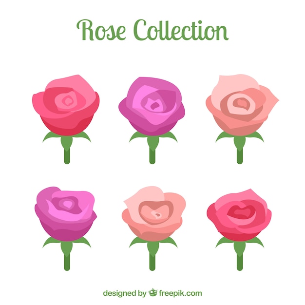 Free Vector set of six roses with different colors