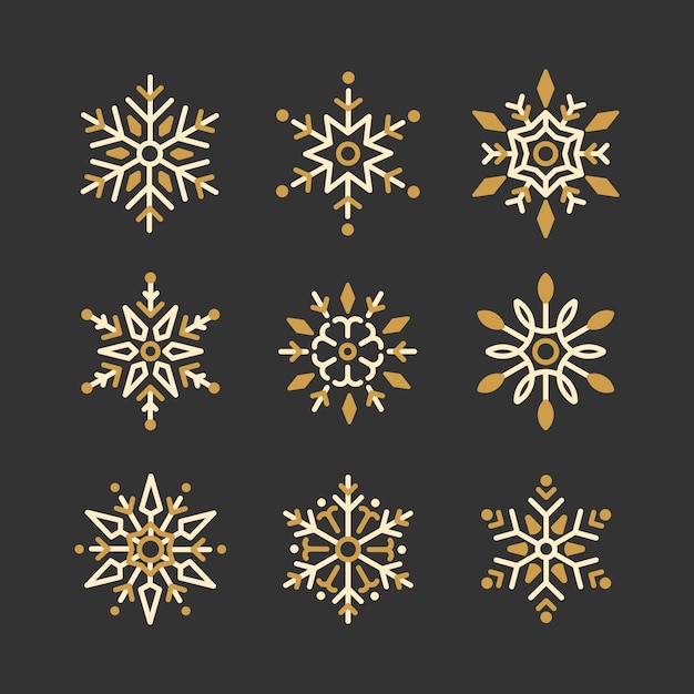 Set of Snowflakes Christmas design vector