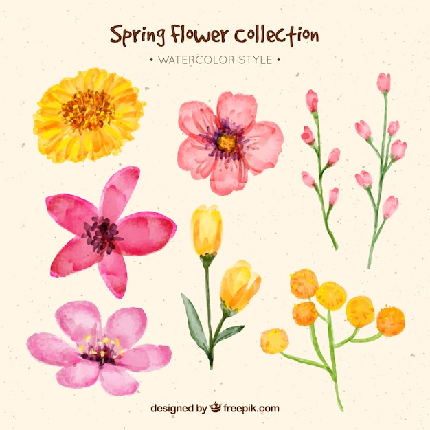 Set of spring watercolor flowers