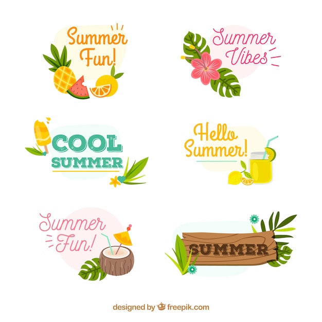 Set of summer badges with fruits and plants