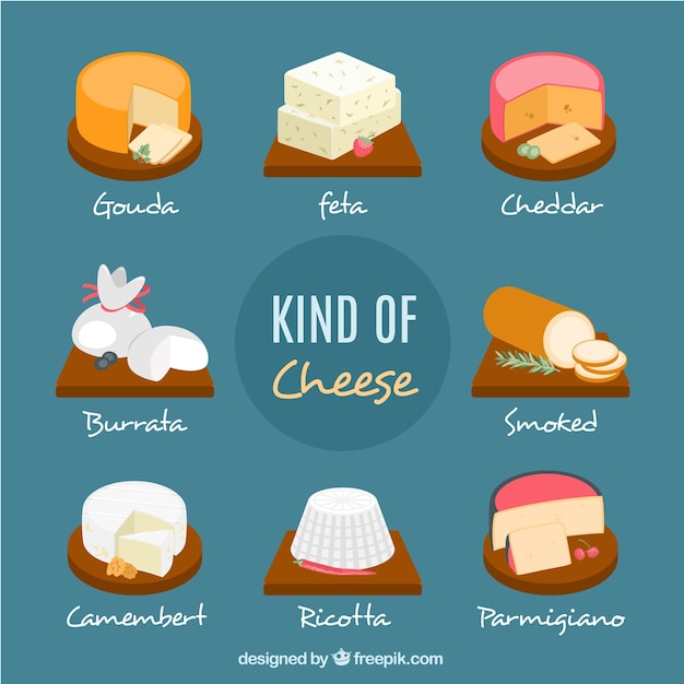 Free Vector set of tasty cheeses 