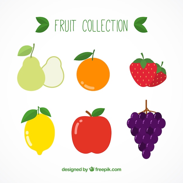 Free Vector set of tasty fruits