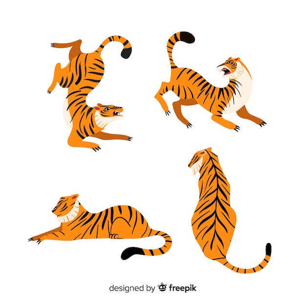 Free Vector set of tigers in cartoon style in different positions