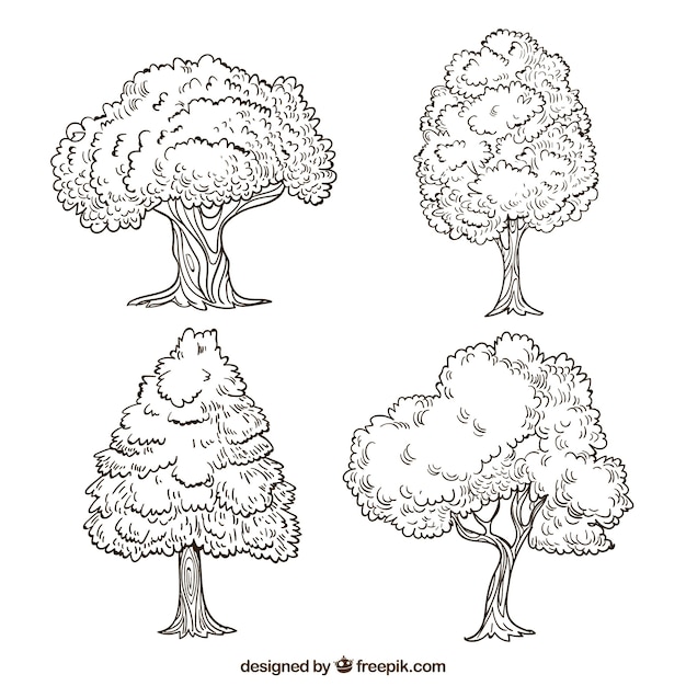 Set of trees in hand drawn style