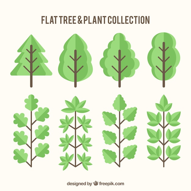 Set of trees and plants in flat design