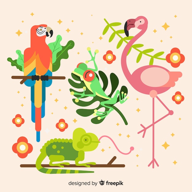 Set of tropical animals: parrot, frog, flamingo, chameleon. flat style design