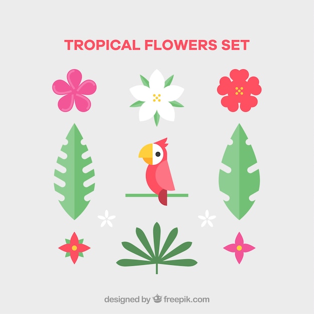 Free vector set of tropical flowers and bird in flat style