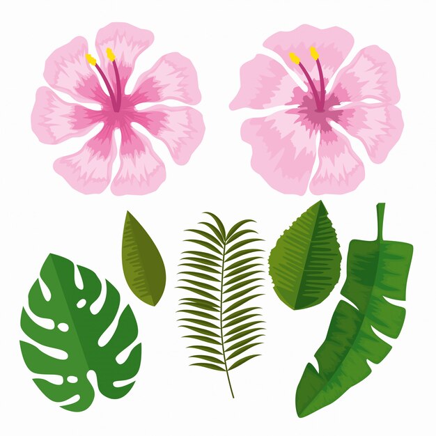 Free Vector set tropical flowers with branches leaves