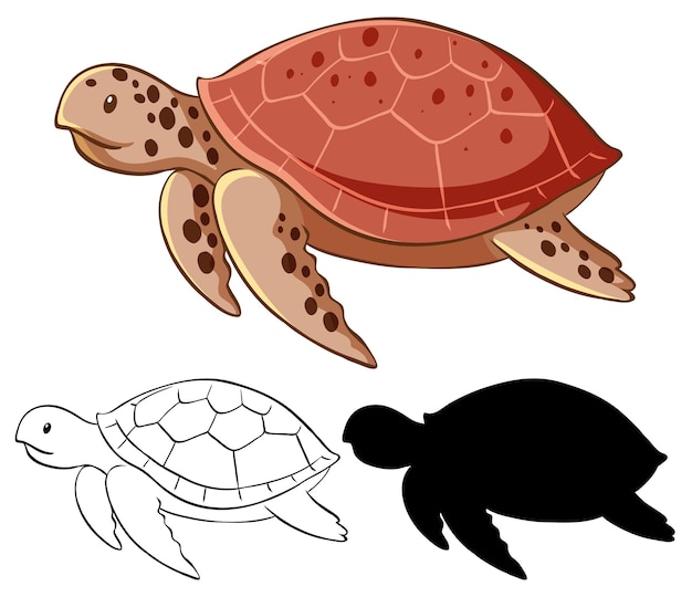 Free Vector set of turtle cartoon