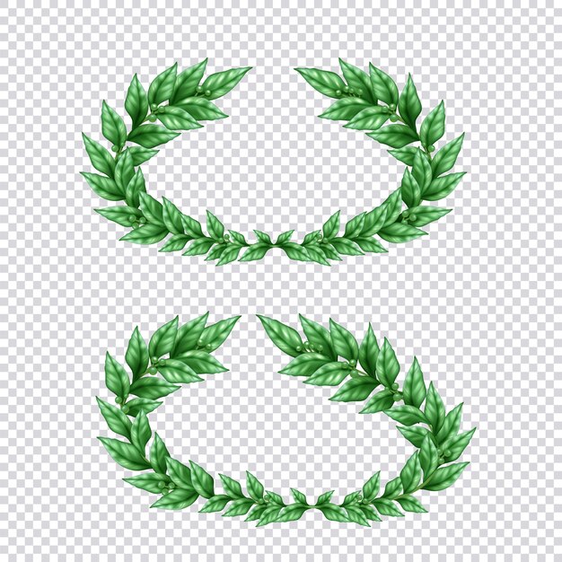 Set of two isolated green laurel wreaths in realistic style on transparent background Illustration