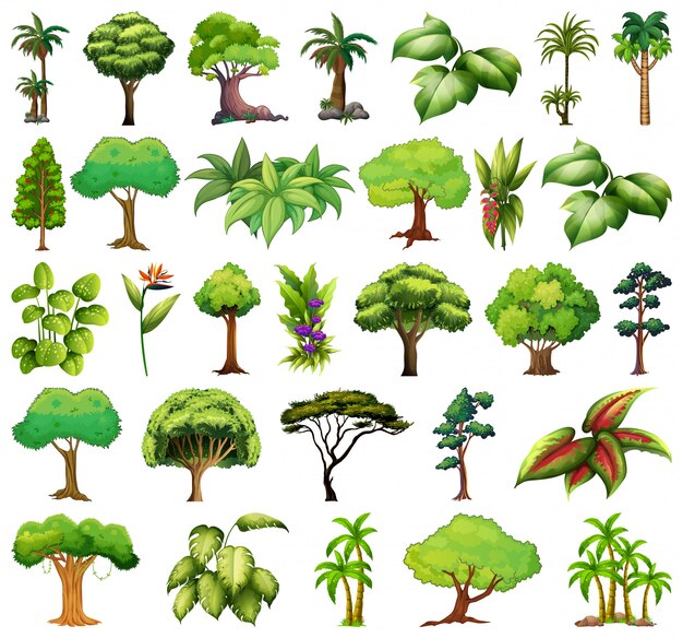 Set of variety plants and trees