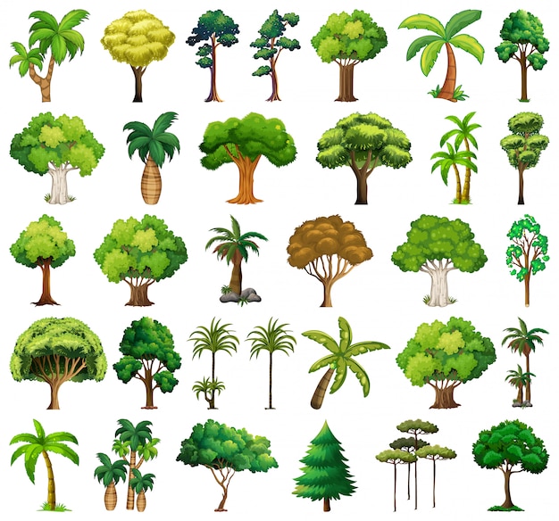 Free Vector set of variety plants and trees