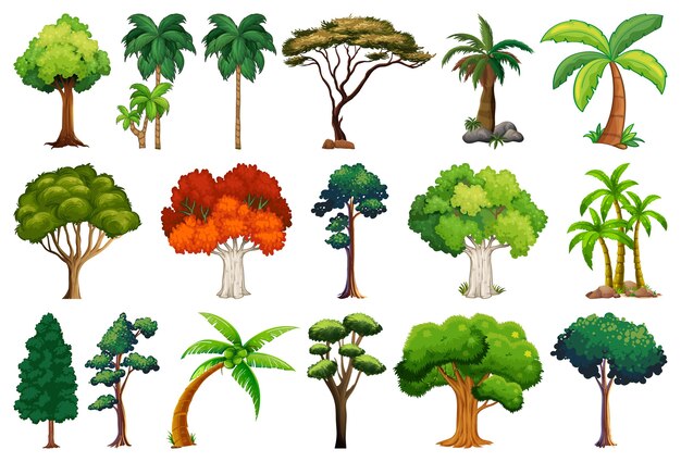 Set of variety plants and trees