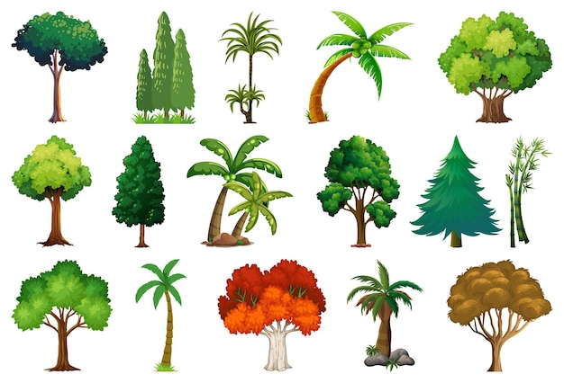 Set of variety plants and trees