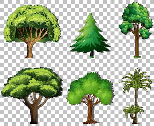 Free Vector set of variety trees on transparent background