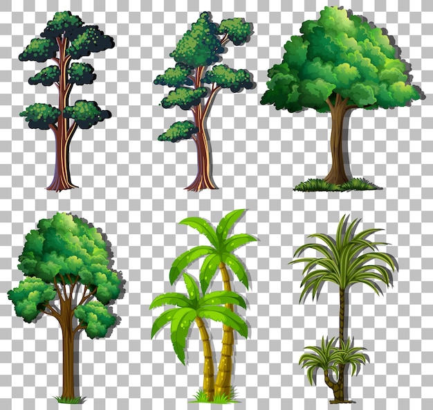 Set of variety trees on transparent background